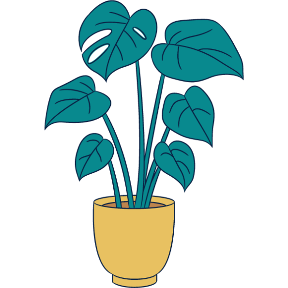 Illustration of a Plant